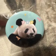 2026年最新】シャンシャンの人気アイテム - メルカリ