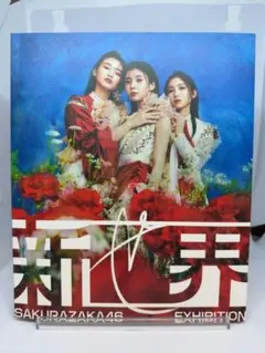 超希少品‼️櫻坂46 展示会 3期生 新せ界 遠藤理子 B2ポスター 超希少品‼️櫻坂46 展示会 3期生 新せ界 遠藤理子