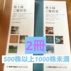 東急不動産ホールディングス　株主優待冊子　2冊