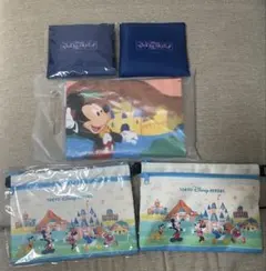 ディズニー 限定 ポーチ エコバッグ レジャーシート ミッキー リゾート