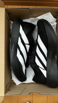 Item thumbnail for item 46f6447f-16ec-4ced-b141-61533e7a9e24