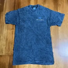 Item thumbnail for item 10ff3ac5-b4c0-42f6-9a21-764e19632a9c