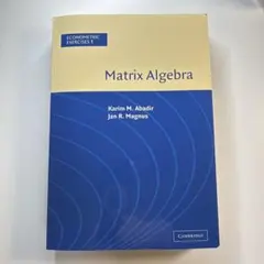 Matrix Algebra (Econometric Exercises 1)