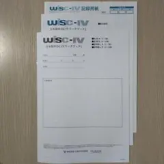 2025年最新】wisc 検査の人気アイテム - メルカリ