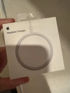 Apple MagSafe Charger USB-C