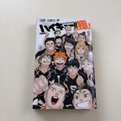 透明ブックカバーつき】ハイキュー！！極！（ファイナルファンブック