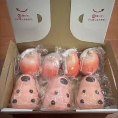 【未使用】スクイーズ カピパラ＆しばこ 6点セット まとめ売り