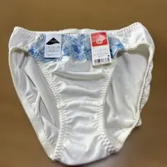 Item thumbnail for item bdc8e540-79ec-4233-8d85-4d473bd8615e