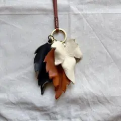 未使用　ゲンテン　チャーム　ポイントセチア 未使用 ゲンテン チャーム ポイントセチア 楽天市場