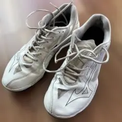 Mizuno バドミントンシューズ ホワイト