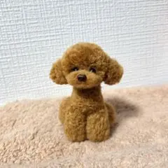 2026年最新】羊毛フェルト トイプードルの人気アイテム - メルカリ