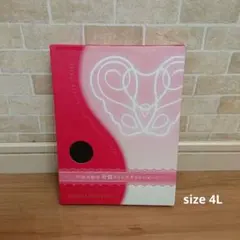 新品　芦屋美整体　骨盤スリムスタイルショーツ　4L 黒