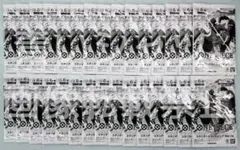 ワンピースカードゲーム スタンダードバトルパック Vol.14 30パック未開封