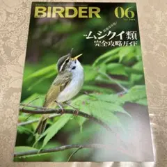 2026年最新】birder 2023の人気アイテム - メルカリ
