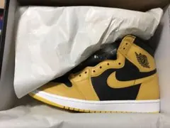 AIR JORDAN 1 RETRO High OG Pollen 28.5