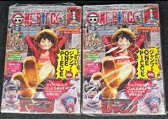 ワンピースマガジンONE PIECE magazine20号　付録カード付き2冊