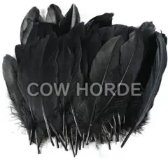 Item thumbnail for item 8ea2baf5-b653-4333-82c9-7382d4dde7ab