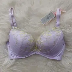 トリンプ　アモスタイル　ブラジャー　D70 1456　M021　定価4620円