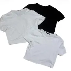 ZARA クロップド丈Tシャツ　3枚セット