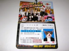 新品【なめ猫 カード 22枚】G なめんなよ なめねこ 猫 ねこ なめんなよ猫