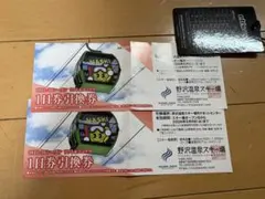 野沢温泉スキー場　リフト＆ゴンドラ１日券引換券　２枚セット　送料無料のサムネイル