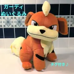 【美品】ポケモン　ガーディ　めちゃでかぬいぐるみ タグ付き