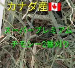 Item thumbnail for item 0903bbd5-0530-4cf8-b9ea-7f742d38d19c