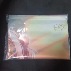 True Colors　げっちゅ屋　B2タペストリー