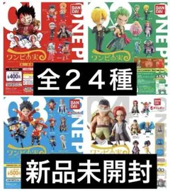 ワンピース　ワンピの実　第一海戦　第二海戦　第三海戦　第四海戦