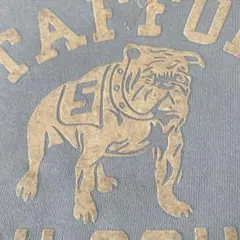 Warehouse 両V スウェット フロッキープリント 40 サックスブルー