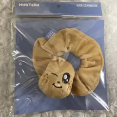 2026年最新】SEVENTEEN ミンギュ ぬいぐるみの人気アイテム - メルカリ