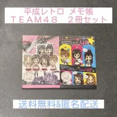 平成レトロ　メモ帳　TEAM48 ２冊セット