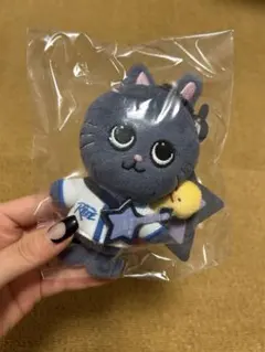RIIZE ウォンビン トニャンドク ぬいぐるみ 10cm - メルカリ