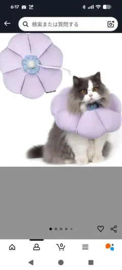 Item thumbnail for item a83eb1b4-8d57-458b-9d82-617d4c7a1637