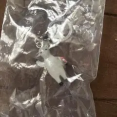 Item thumbnail for item adf22c0f-a8fb-40de-8fbd-e91d47d41f60