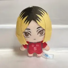 ハイキュー　ぬいぐるみ　孤爪研磨