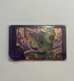 フレンダ　バンギラス　Zワザ　ポケモンフレンダ　ポケモン　スーパートレジャー