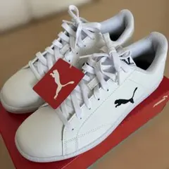 Item thumbnail for item 8aae4e65-3720-48d4-96cd-701bc3d1d483