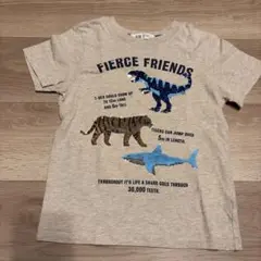 H&M キッズ　半袖Tシャツ　110(4〜6歳)