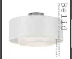 Item thumbnail for item 1b0e232f-53c3-42d6-917a-a4fc386a8bce