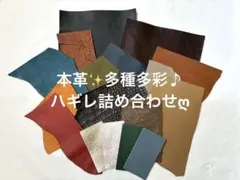 ✧本革‼️多種多彩✨ハギレ詰め合わせ♪