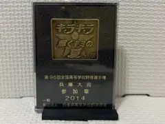 2014年　高校野球兵庫大会　参加章