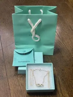 [美品]ティファニー インフィニティ ネックレス SV925 ダブルチェーン