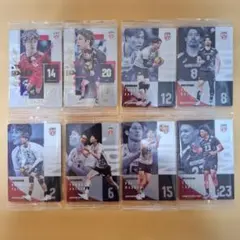 バレーボール 日本代表 トレーディングカード 8枚セット　ウエハース