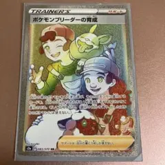 2026年最新】ポケモンブリーダーの育成の人気アイテム - メルカリ