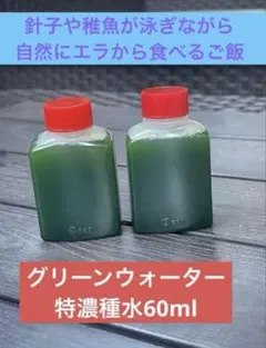 봄철 산란 준비를 위해 ❗️ 그린워터 스페셜 농축수 30ml x 2병