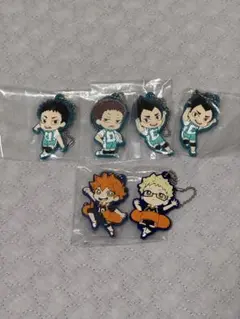 ハイキュー!! 青葉城西 岩泉一 花巻貴大 月島蛍 日向翔陽