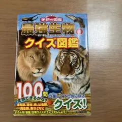 megrim様 リクエスト 3点 まとめ商品