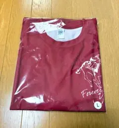 ノーザンホースパークマラソン オリジナルTシャツ フォーエバー・ヤング Lのサムネイル