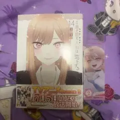 その着せ替え人形は恋をする 14巻